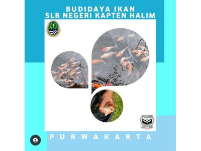 Budi Daya Ikan