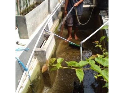 Pembersihan Kolam